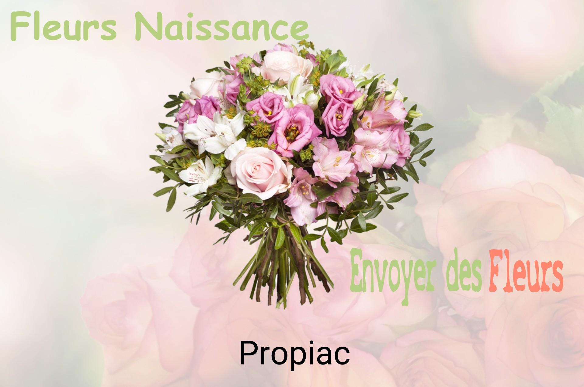 Bouquet de fleurs de naissance livré à Propiac